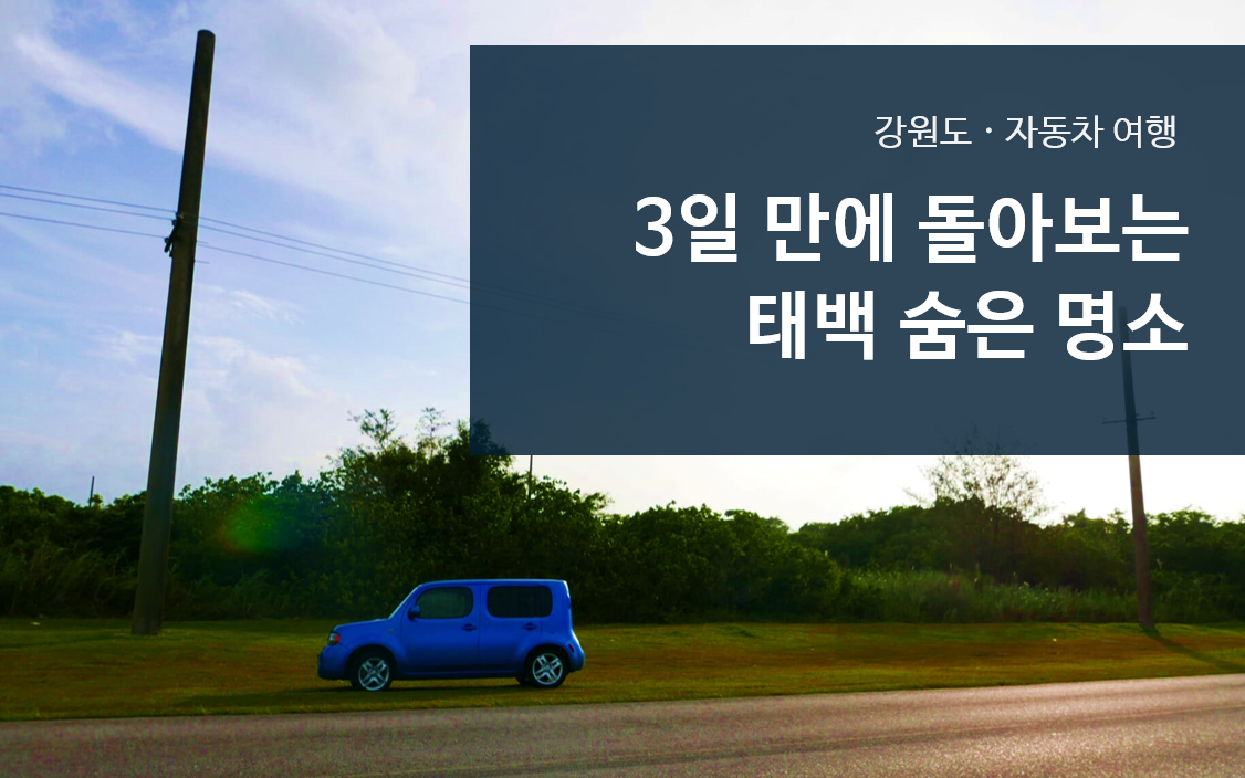 대체 텍스트